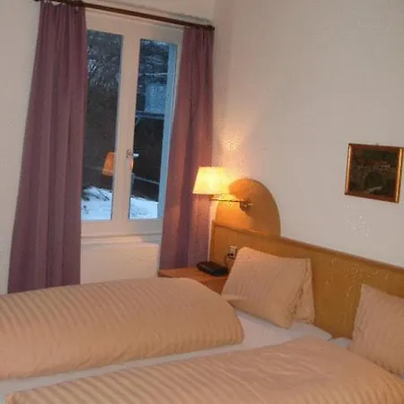 Hotel Grischuna 3*
